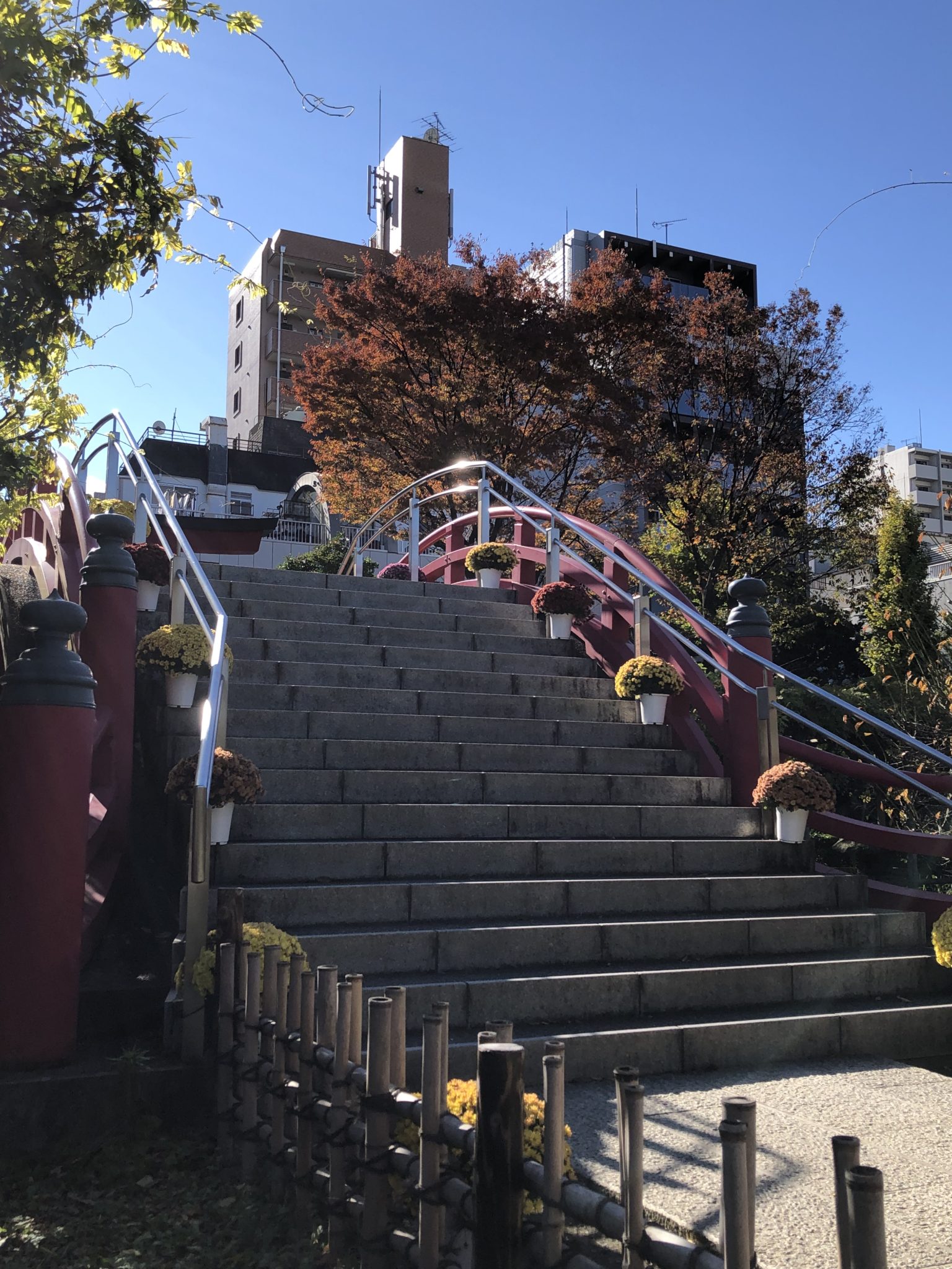 亀戸天神社、太鼓橋、男橋。 七五三の撮影で待つご家族の皆さんの合間を縫って撮影。