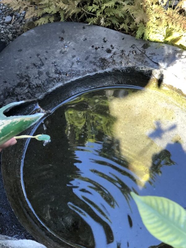 美玉洗で勾玉を洗い、それを御守りとしてして持ち歩きます。(2025年2月15日撮影)