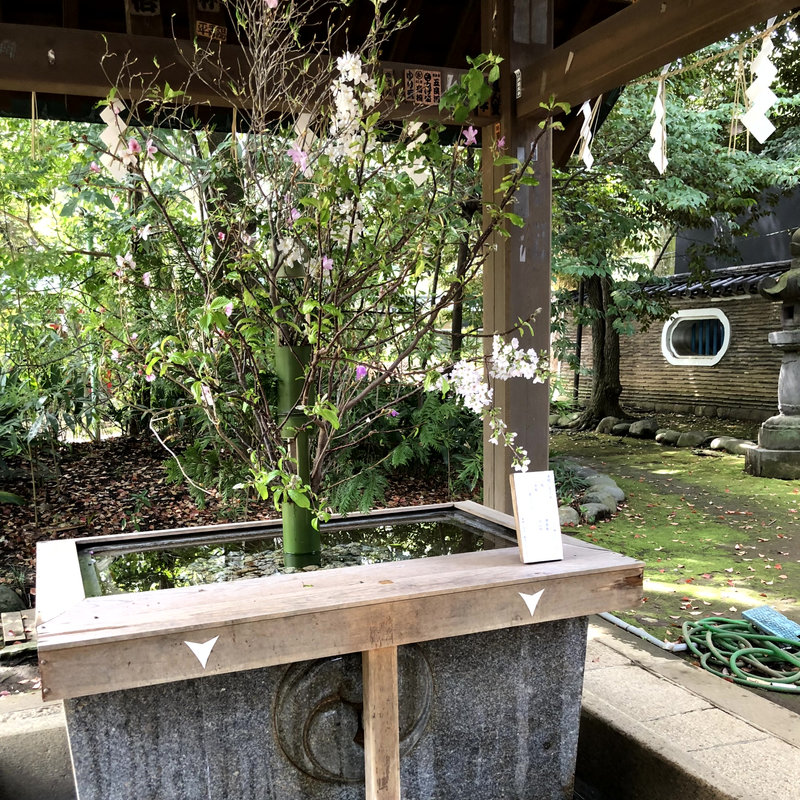 赤坂氷川神社、手水舎