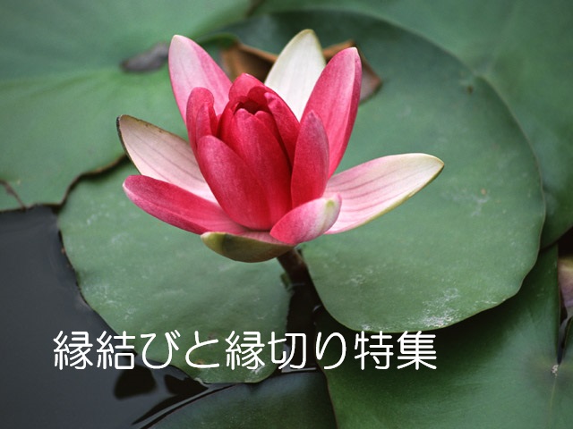 縁結びと縁切り特集